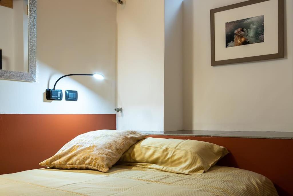 Comfortable Flat In Porta Romana 米兰 外观 照片